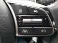 Kia Ceed / cee'd ceed 1,0 T-GDI GPF Silber *neuwertig* Bleu - thumbnail 11