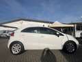 Kia Rio Rio III  5p 1.2 Active eco-dynamics gpl Bianco - thumbnail 12