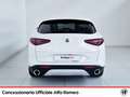Alfa Romeo Stelvio 2.2 t executive q4 210cv auto Bianco - thumbnail 5