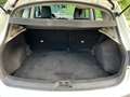 Nissan Qashqai 1.5 105 cv Diesel/Acenta Dci Weiß - thumbnail 10