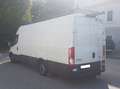 Iveco Daily 35S14 L4 H2 Weiß - thumbnail 7
