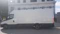 Iveco Daily 35S14 L4 H2 Weiß - thumbnail 8