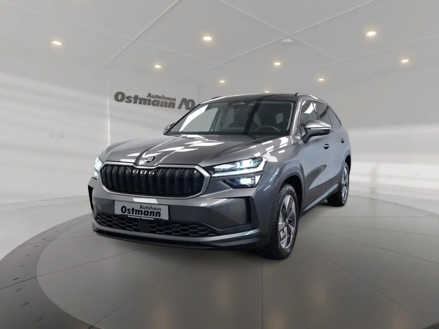 Skoda Kodiaq 2.0 TDI Selection AHK Navi Matrix 4xSHZ Grau - 1