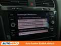 Volkswagen Golf 2.0 TDI Rabbit 40 R-Line Grau - thumbnail 25