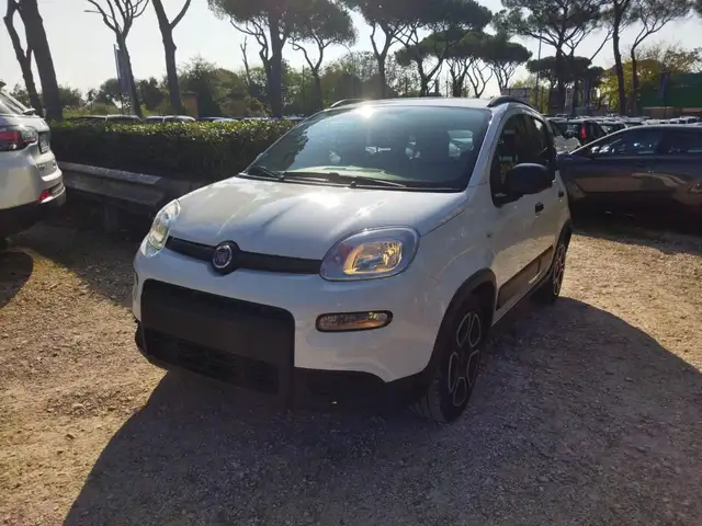 Fiat Panda view 2