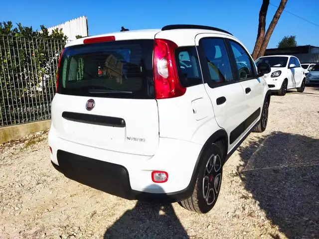 Fiat Panda view 4