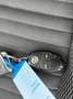 Volkswagen Golf VII Lim. Cup BMT/Standheizung - thumbnail 15