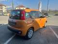 Fiat Panda 1.2 Pop *NEOPATENTATI Orange - thumbnail 5