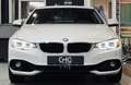 BMW 440 i xDrive Sport HUD|KAMERA|AHK|S-DACH|ACC Blanc - thumbnail 2