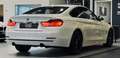 BMW 440 i xDrive Sport HUD|KAMERA|AHK|S-DACH|ACC Blanc - thumbnail 7