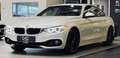 BMW 440 i xDrive Sport HUD|KAMERA|AHK|S-DACH|ACC Blanc - thumbnail 3