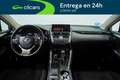 Lexus NX 300h Business Navigation 2WD Blanco - thumbnail 13