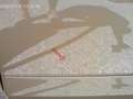 Volkswagen Caddy Basis Maxi 7 Sitze Bronze - thumbnail 22
