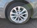 Renault Megane Megane Intens TCe 100 Grau - thumbnail 13