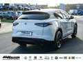 Alfa Romeo Stelvio Veloce 2.0 Turbo AT8 Q4 EL. HECKKL. HARMAN-KARDON Weiß - thumbnail 5