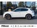 Alfa Romeo Stelvio Veloce 2.0 Turbo AT8 Q4 EL. HECKKL. HARMAN-KARDON Weiß - thumbnail 2