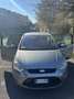 Ford S-Max 2.0 tdci Titanium c/radio 163cv powershift - thumbnail 18
