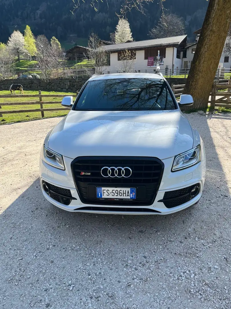 Audi SQ5 3.0 TDI quattro Bianco - 2