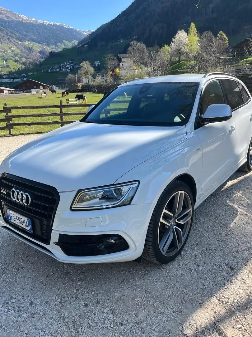 Audi SQ5 3.0 TDI quattro Bianco - 1