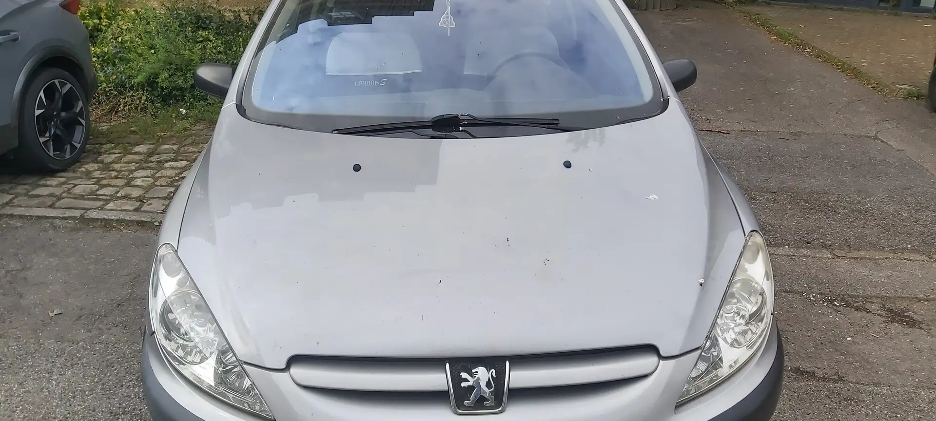 Peugeot 307 307 1.6i 16v XS Argent - 1