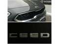 Kia Ceed SW / cee'd SW 1,0 TGDI ISG GPF Titan Grau - thumbnail 13