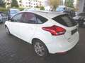 Ford Focus Focus 1.0 EcoBoost Start-Stopp-System Trend Weiß - thumbnail 5