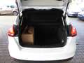 Ford Focus Focus 1.0 EcoBoost Start-Stopp-System Trend Weiß - thumbnail 13