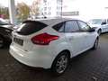 Ford Focus Focus 1.0 EcoBoost Start-Stopp-System Trend Weiß - thumbnail 3