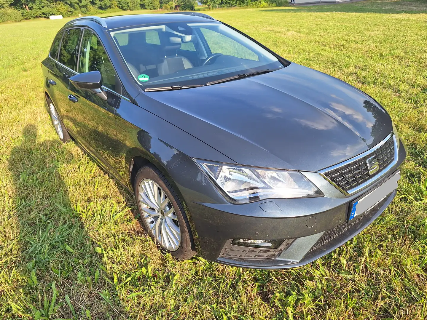 SEAT Leon Leon ST 1.5 TGI Start Grau - 2