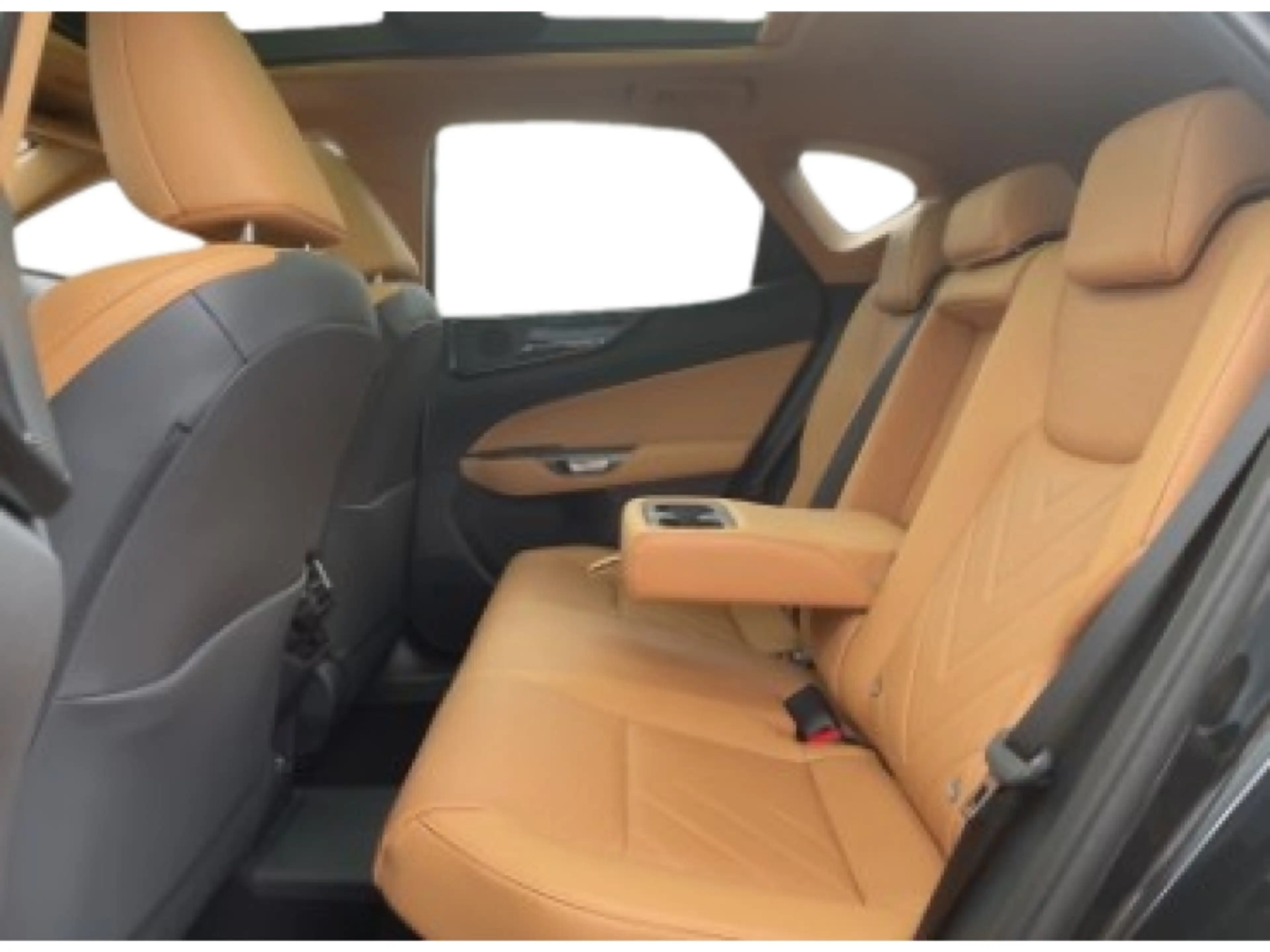 Lexus NX 450h+ Plug-in Hybrid Executiv — photo 14