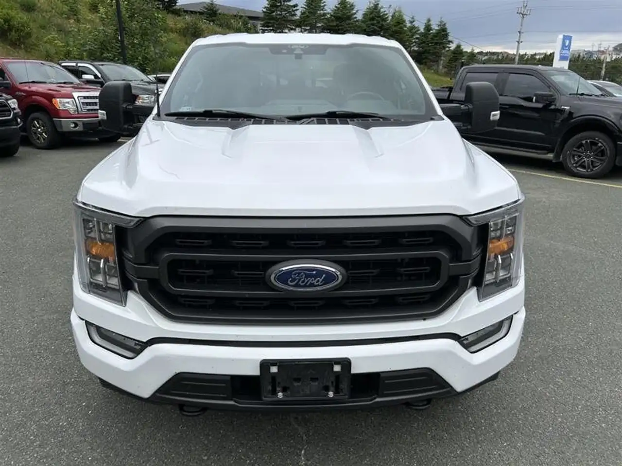 Ford F 150 снимка Ford F 150