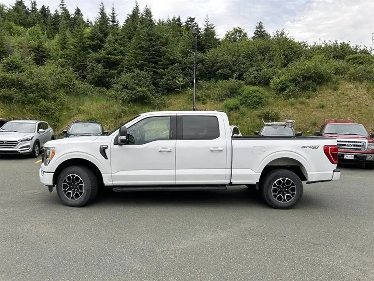 Ford F 150 снимка Ford F 150