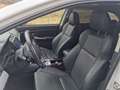 Subaru Levorg Levorg 1,6 GT-S Exclusive GT-S Exclusive Blanc - thumbnail 29