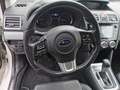 Subaru Levorg Levorg 1,6 GT-S Exclusive GT-S Exclusive Weiß - thumbnail 26
