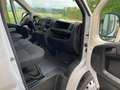 Peugeot Boxer 35+ L3H2 BlueHDi 165 S&S Weiß - thumbnail 16