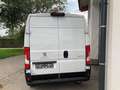 Peugeot Boxer 35+ L3H2 BlueHDi 165 S&S Weiß - thumbnail 7