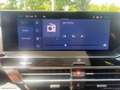 Citroen C4 X BlueHDI 130 S&S EAT8 Plus Grau - thumbnail 16