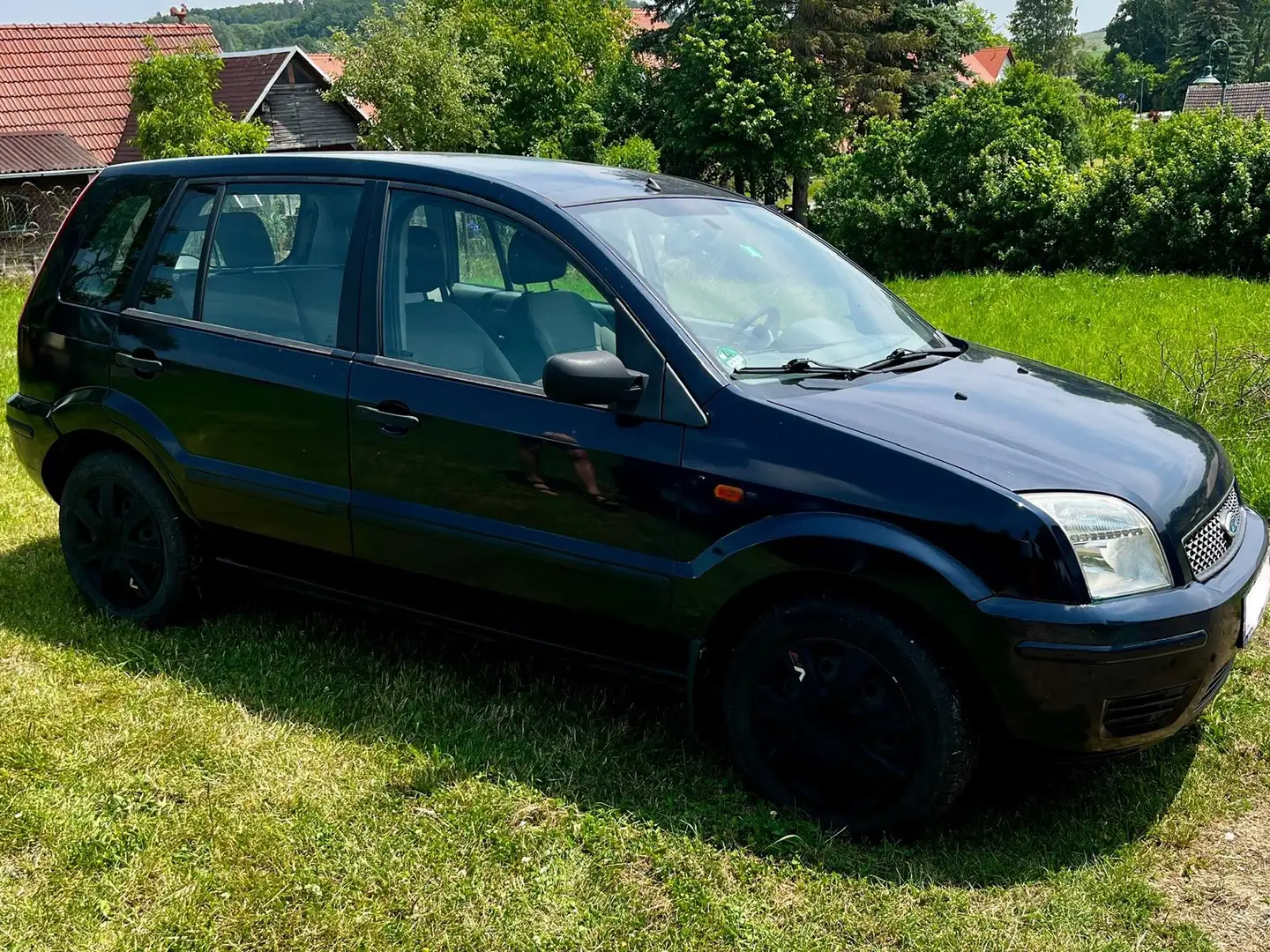 Ford Fusion Fusion 1.4 TDCI + Blau - 2