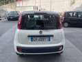 Fiat Panda Panda 1.0hybridCityLife NESSUN VINCOLO FINANZIARIO Bianco - thumbnail 5
