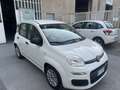 Fiat Panda Panda 1.0hybridCityLife NESSUN VINCOLO FINANZIARIO Bianco - thumbnail 3