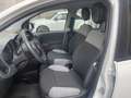 Fiat Panda Panda 1.0hybridCityLife NESSUN VINCOLO FINANZIARIO Bianco - thumbnail 7