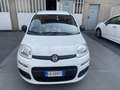 Fiat Panda Panda 1.0hybridCityLife NESSUN VINCOLO FINANZIARIO Bianco - thumbnail 2