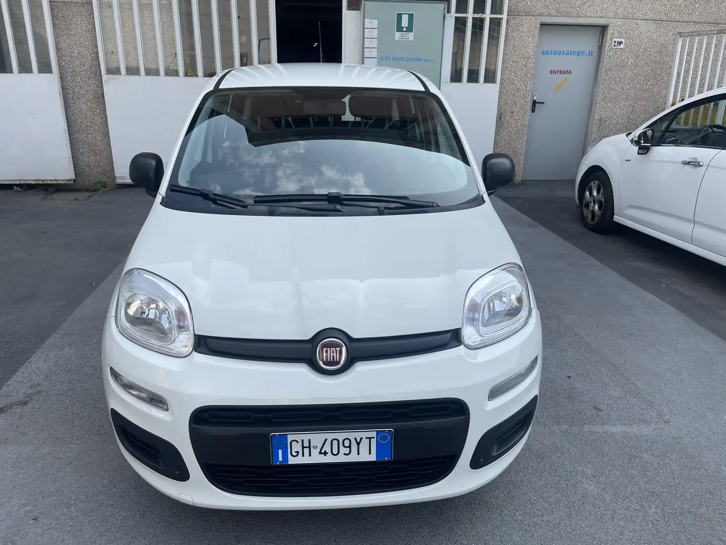 Fiat Panda Panda 1.0hybridCityLife NESSUN VINCOLO FINANZIARIO Bianco - 2