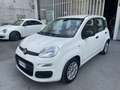 Fiat Panda Panda 1.0hybridCityLife NESSUN VINCOLO FINANZIARIO Bianco - thumbnail 1