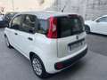 Fiat Panda Panda 1.0hybridCityLife NESSUN VINCOLO FINANZIARIO Bianco - thumbnail 6