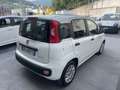 Fiat Panda Panda 1.0hybridCityLife NESSUN VINCOLO FINANZIARIO Bianco - thumbnail 4