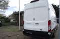 Ford Transit Kasten 350 L4 Trend Weiß - thumbnail 6