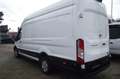 Ford Transit Kasten 350 L4 Trend Weiß - thumbnail 3