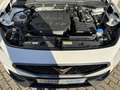 CUPRA Formentor VZ 2.0 TSI DSG eHECK MATRIX PANO Weiß - thumbnail 29