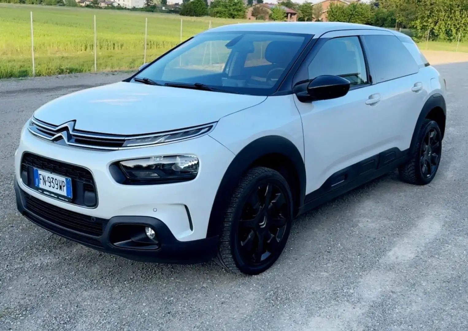 Citroen C4 C4 Cactus 1.6 bluehdi Shine s Bianco - 2